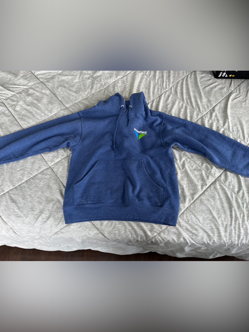 Snowbird branded hoodie